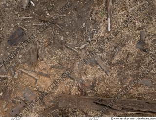 Photo Textures of Wood